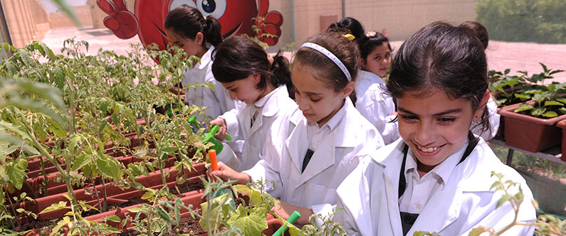 Project Greenhouse has been invaluable in teaching children about healthy diets, sustainability and how to grow fruits and vegetables.