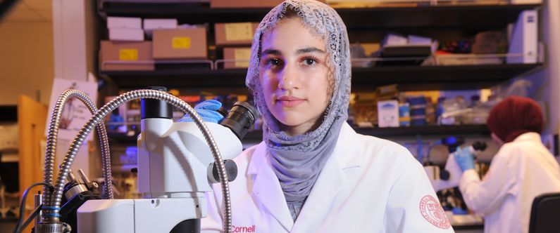 Alaa Abdeen, a third-year student at Newcastle University in the UK, learned key lab skills this summer on WCM-Q’s Research Internship for College Students program.
