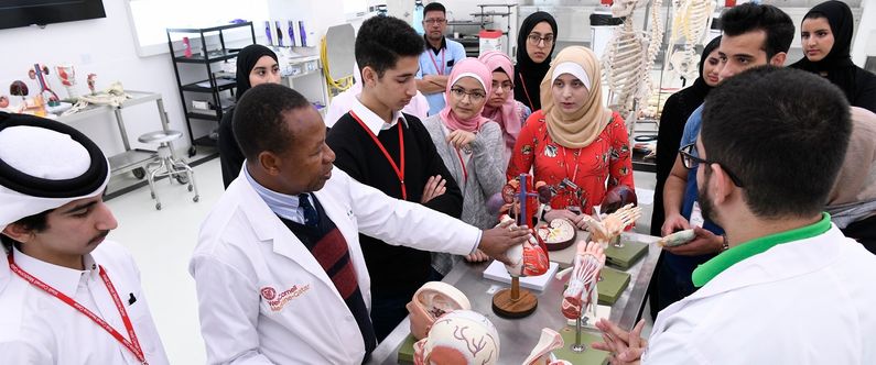 High school students spent a week at WCM-Q learning about careers in medicine on the Qatar Medical Explorers Program (QMEP).