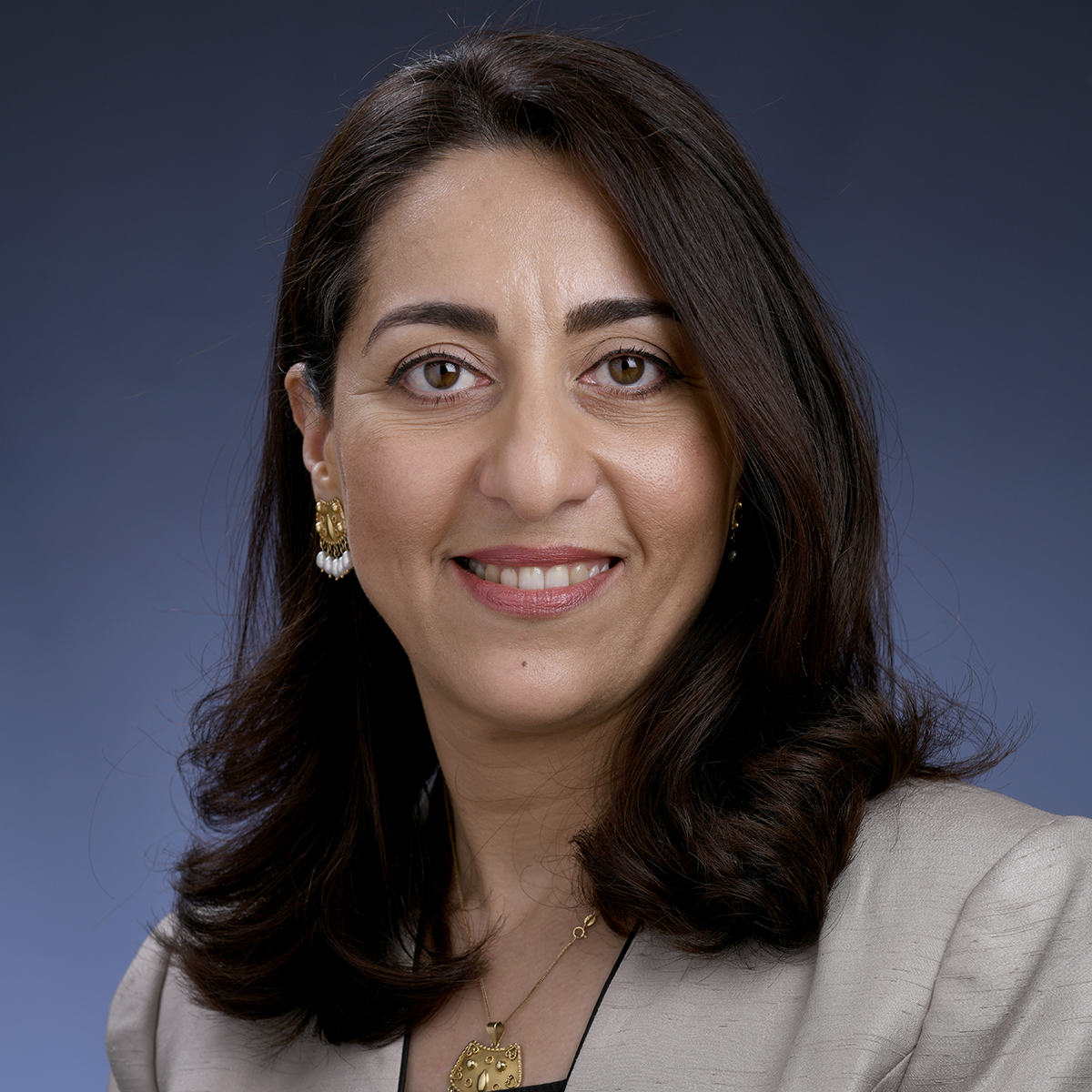 Ms. Deema Al-Sheikhly