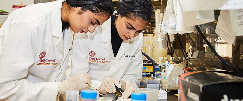 Cornell writing clubs image