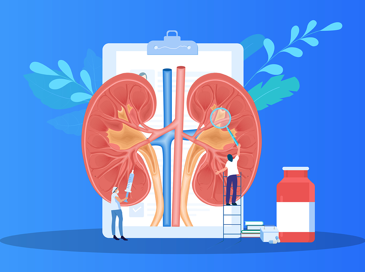 Safeguarding your kidneys: About chronic kidney disease