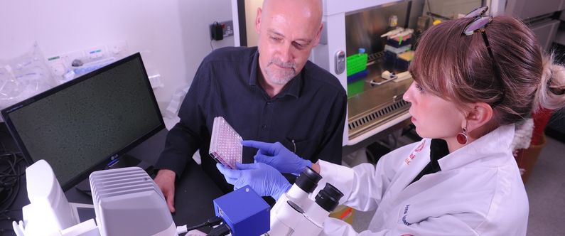 WCM-Q researchers suggest malaria drug could make cancer treatments more effective