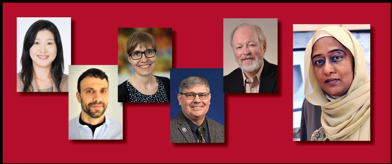 WCM-Q provides a virtual mixed methods research workshop