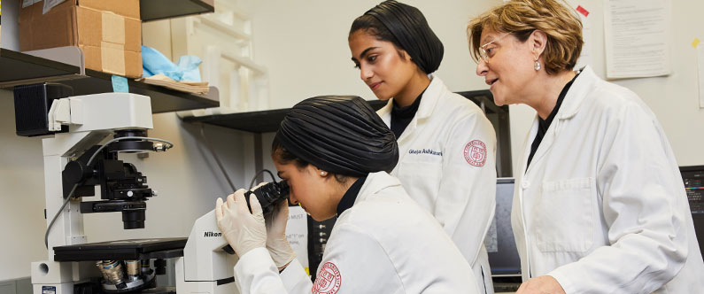 The winning students will spend time in the world-class biomedical research laboratories at Weill Cornell Medicine in New York