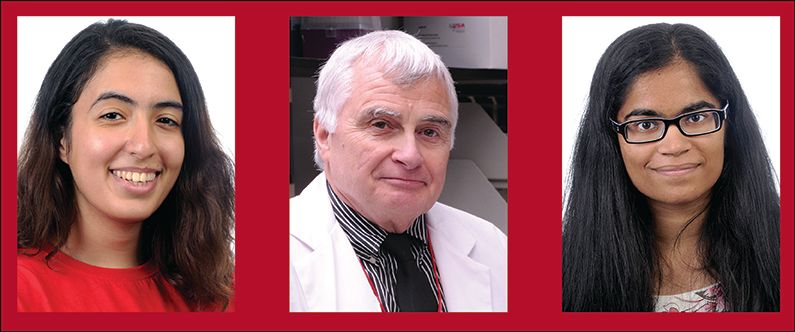 WCM-Q student research mentorship continues despite pandemic
