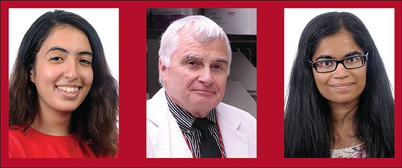 Chris TRIGGLE, Professor Pharmacology, PhD, Weill Cornell Medicine in  Qatar, Doha, WCM-Q, Medical Education & Pharmacology