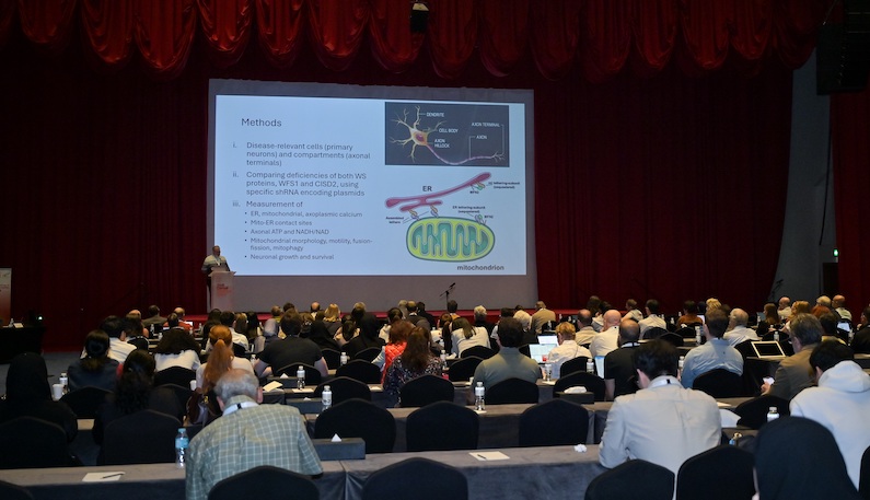 Leading scientists, researchers and experts gathered in Doha for the ECS General Meeting.