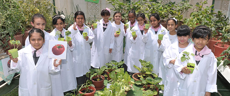 Ministry of Public Health Signs Memorandum of Understanding with WCM-Q and  Al Meera to Promote Healthy Eating Habits