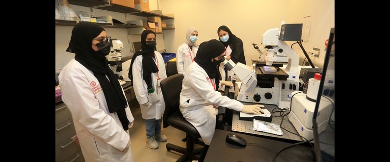 New WCM-Q program ‘Science for Curious Minds’ inspires high school students
