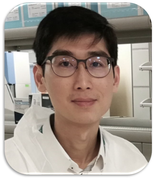 On the Emergence of Candida Pathogens