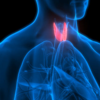 LIVE WEBINAR: The Ups and Downs of Hypothyroidism
