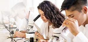 Apply for the Summer Enrichment Programs at Weill Cornell Medicine-Qatar