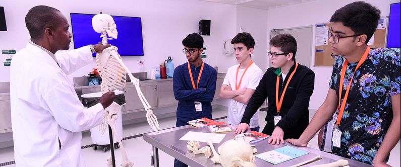 High school students on the WCM-Q summer enrichment program take an anatomy class.