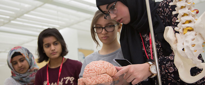 College-bound students explore careers in medicine at WCM-Q