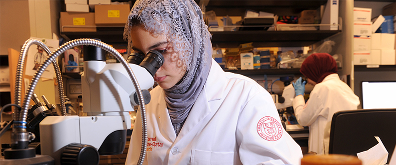 An intern on one of the biomedical research training programs at Weill Cornell Medicine-Qatar at work in the lab.