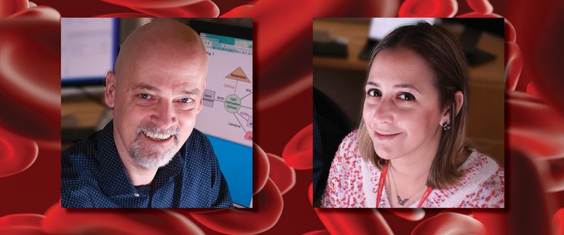 WCM-Q researchers study the role of proteins in obesity