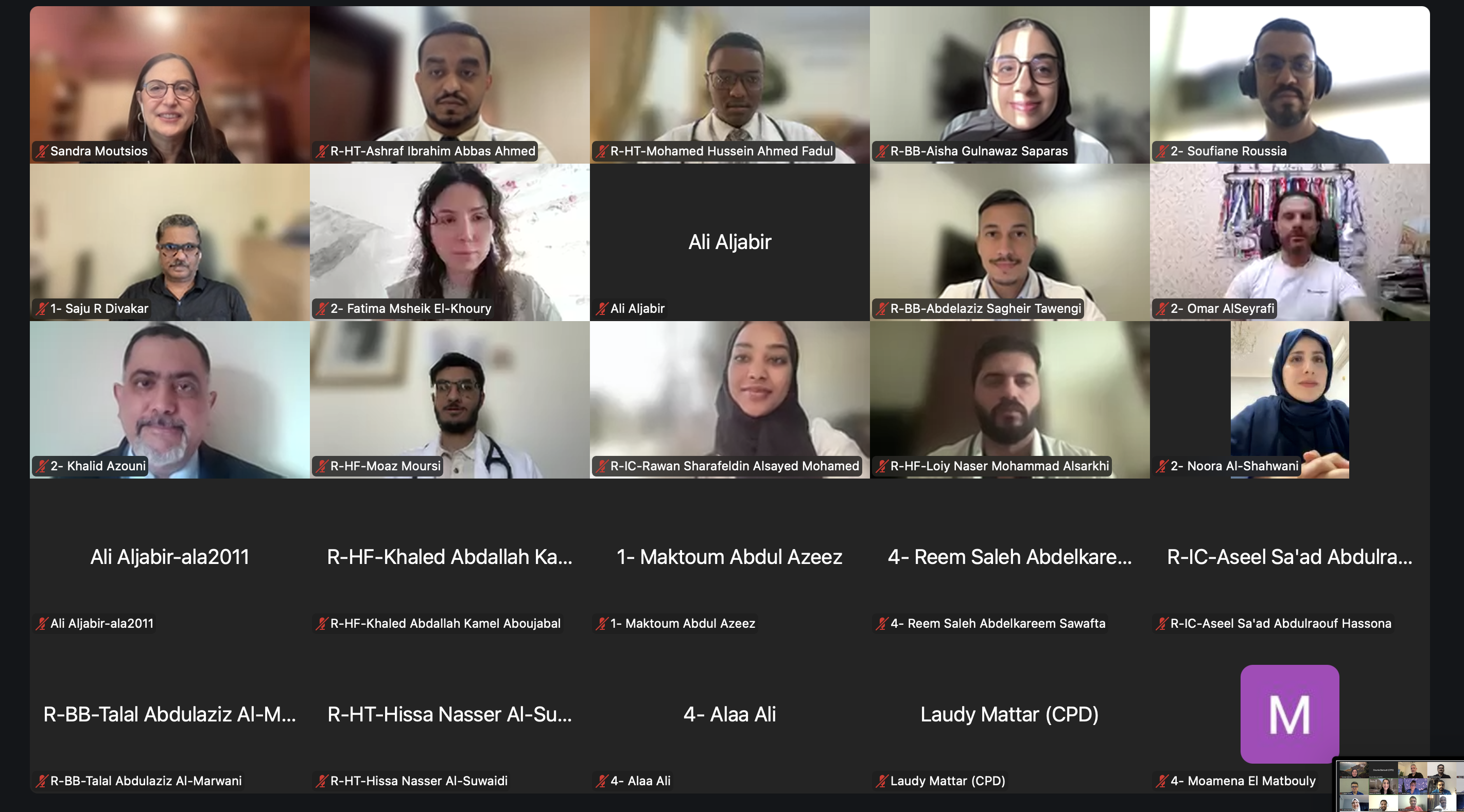 Faculty and participants during the two-day virtual workshop.