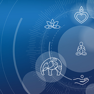 LIVE WEBINAR: Biological rhythms and nutrition synchronization for optimal health