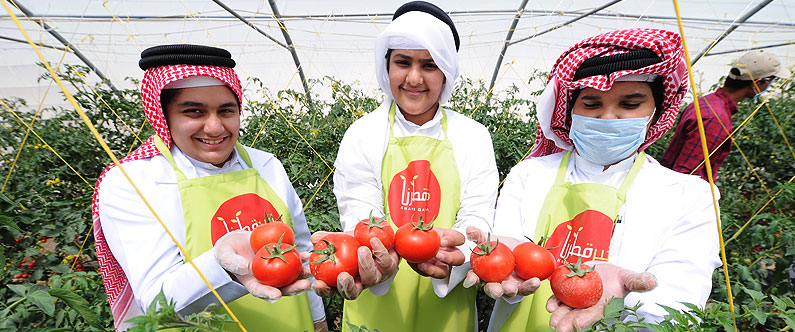 Project: Greenhouse helped educate children about the benefits of eating fruit and vegetables, but Khayr Qatarna takes this to a higher level.