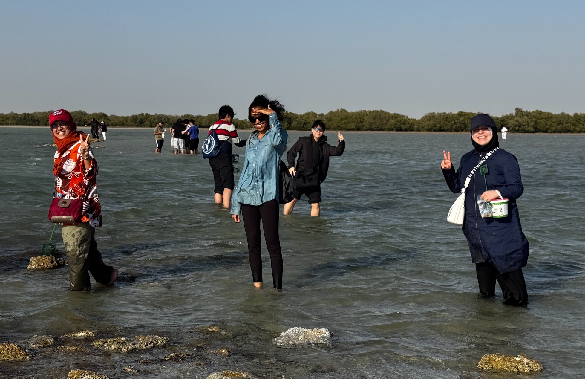 WCM-Q students identified marine invertebrates and collected specimens on the Purple Island.