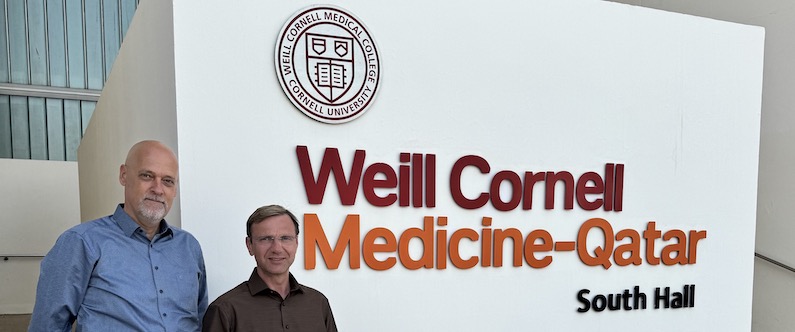 WCM-Q study probes use of nanoparticles for human protein analysis