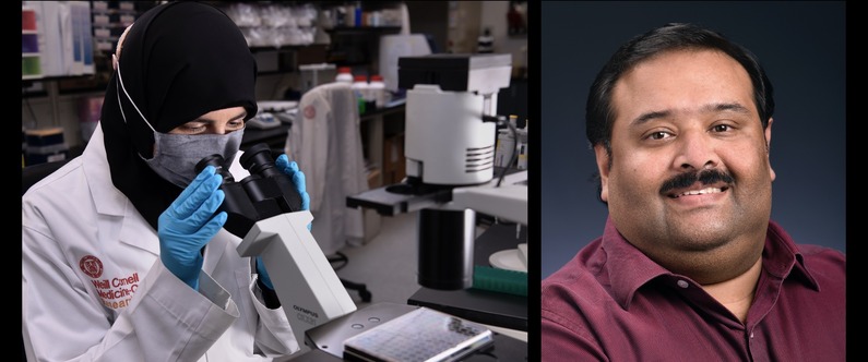 WCM-Q researchers earn full membership at Sigma Xi Honor Society