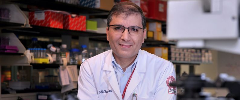 Research led by Dr. Lotfi Chouchane of Weill Cornell Medicine-Qatar (WCM-Q) has revealed the role of a specific protein in the growth of the most aggressive, treatment-resistant forms of breast cancer.