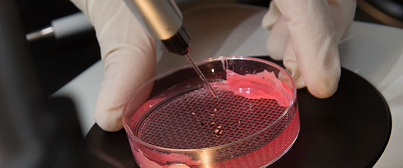 WCM-Q welcomes the future of Qatari research