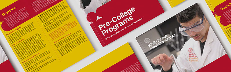 Pre-College Programs