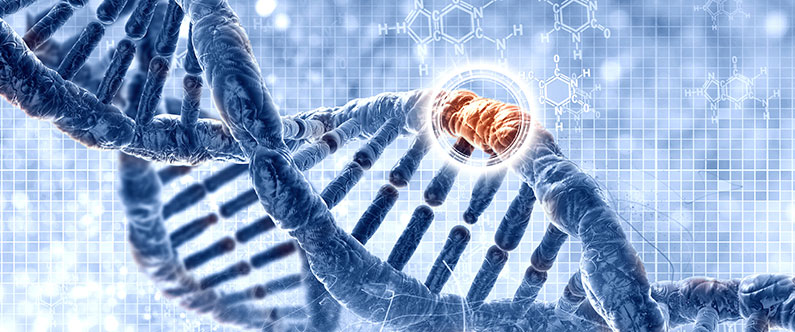 Mapping the Qatari genome heralds new era of precision medicine