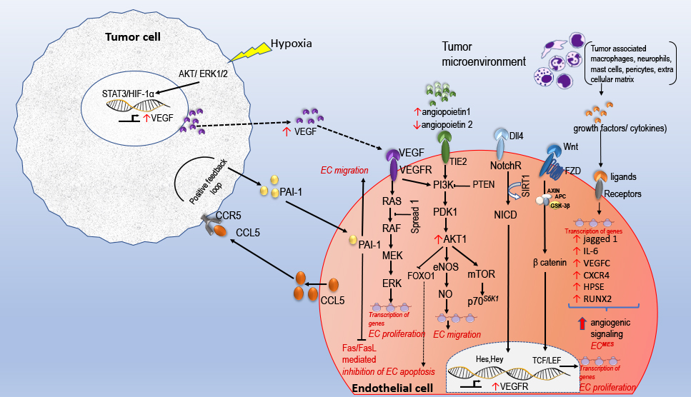 Figure 1[1]