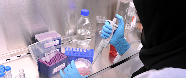 Applications open for WCM-Q’s Biomedical Research Training Program