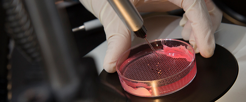 WCM-Q trains next generation of Qatari researchers