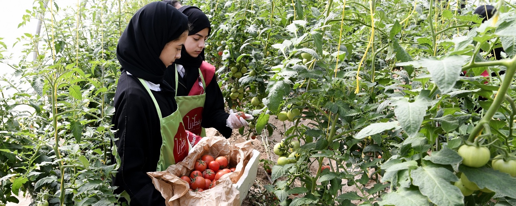 Your Health First launches ‘Harvest Day’ event celebrating self-sufficiency and healthy eating