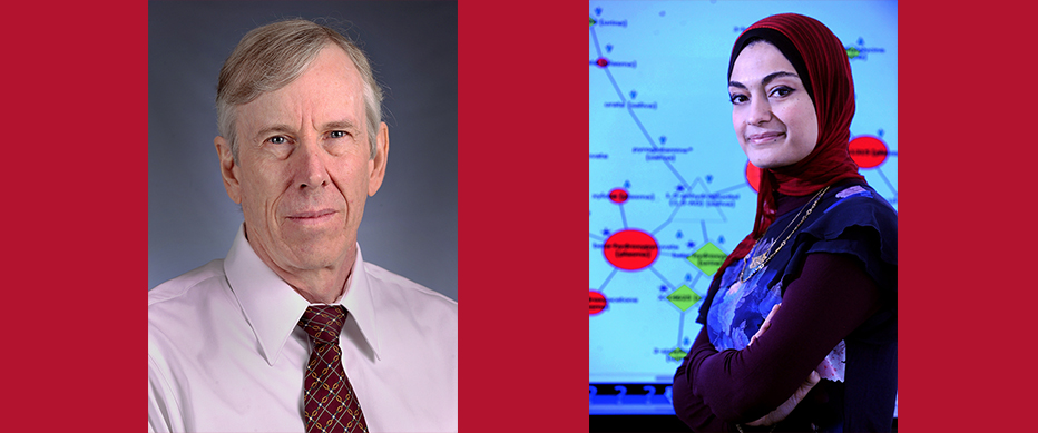 Scientists at WCM-Q examine the implications of consanguineous marriage