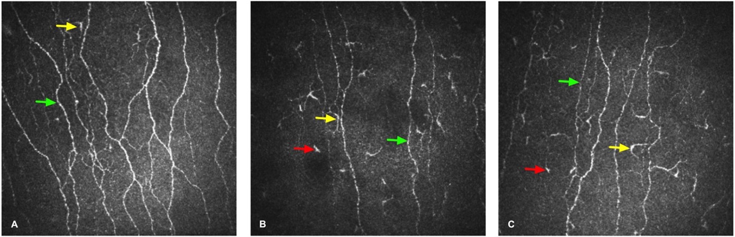 thumb-01-microscopy