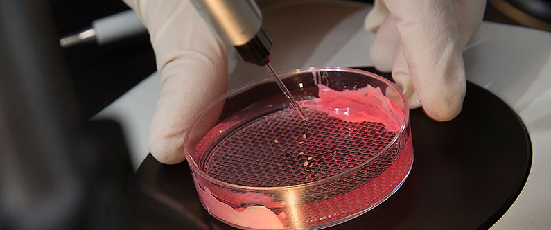 WCM-Q invites graduates to apply for training in biomedical research