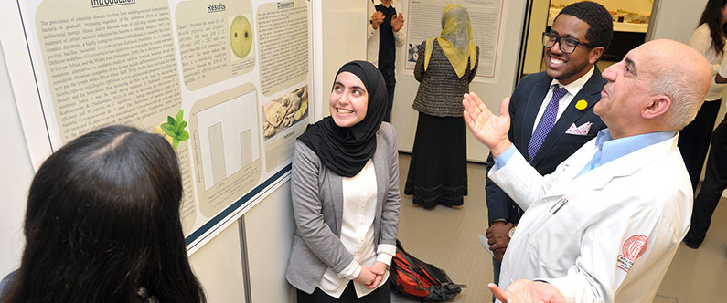 Students present research projects at annual poster session
