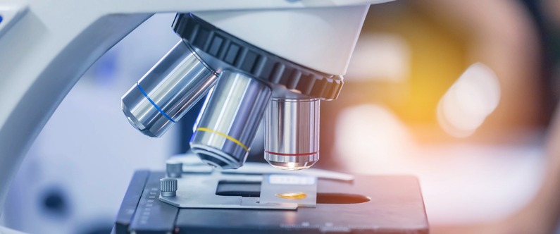 Transforming healthcare: WCM-Q’s cutting-edge research