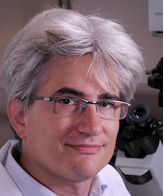 Dr. Raphael Courjaret