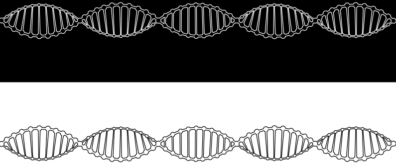 Researchers identify genetic associations with 45 clinically relevant traits in the Qatari population