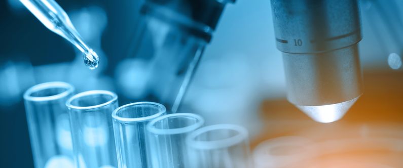 WCM-Q named Best Research Office 2019 by QNRF