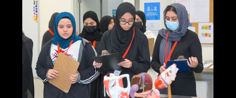 High school students scout careers in medicine through WCM-Q’s Summer Programs