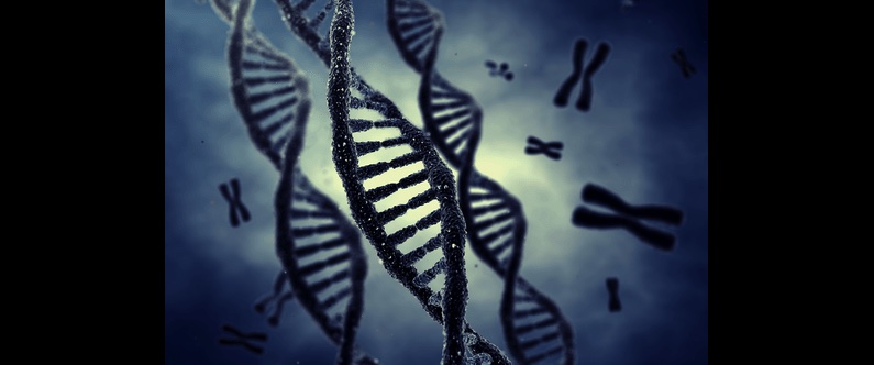 Researchers at WCM-Q, WCM NY and QF collaborate to develop screening tool to prevent genetic diseases in Qatari population