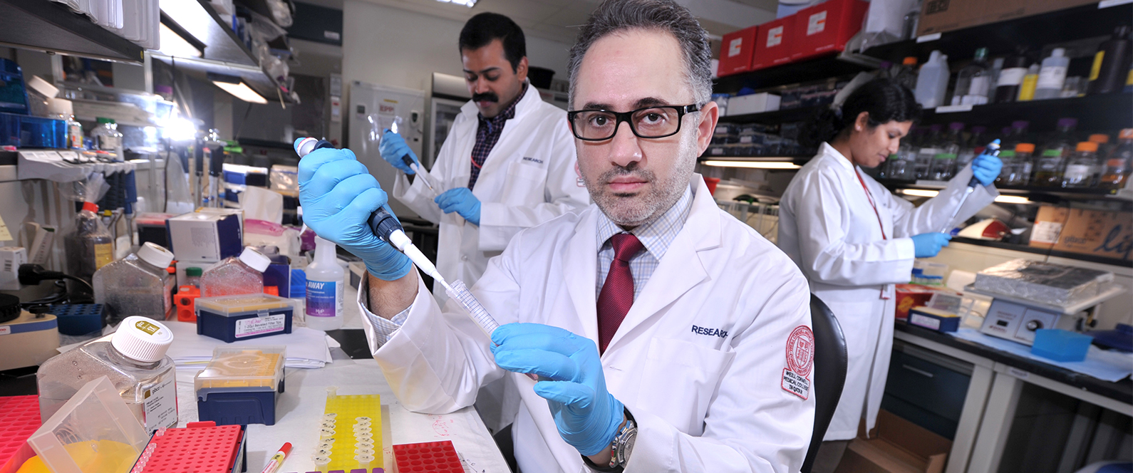 Dr. Hani Najafi specializes in the interactions between microRNA and RNA.