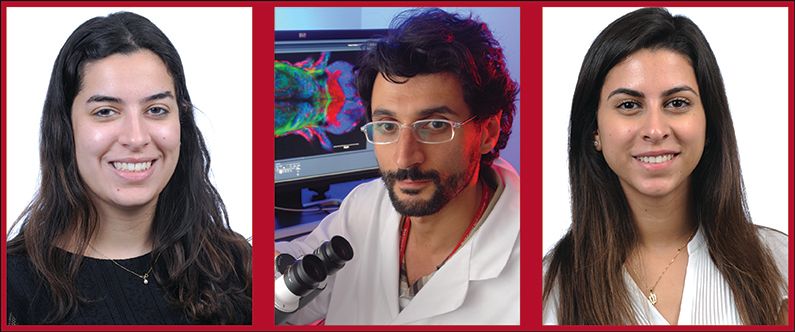 WCM-Q student researchers probe effects of COVID-19 on pregnancy
