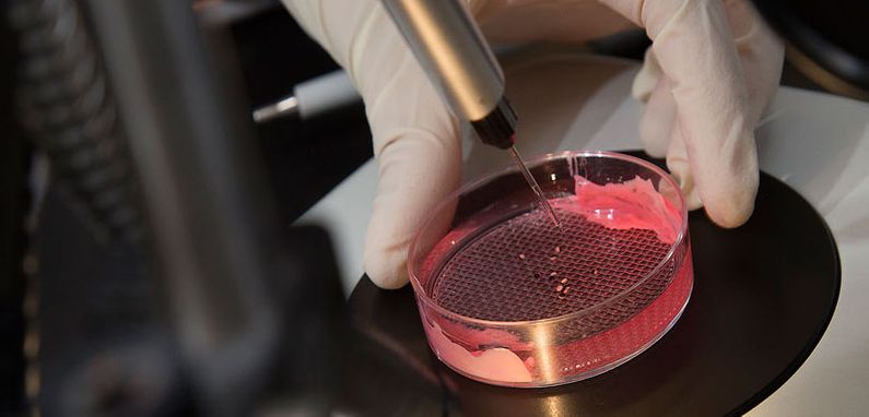 Aspiring Qatari researchers graduate WCM-Q biomed program