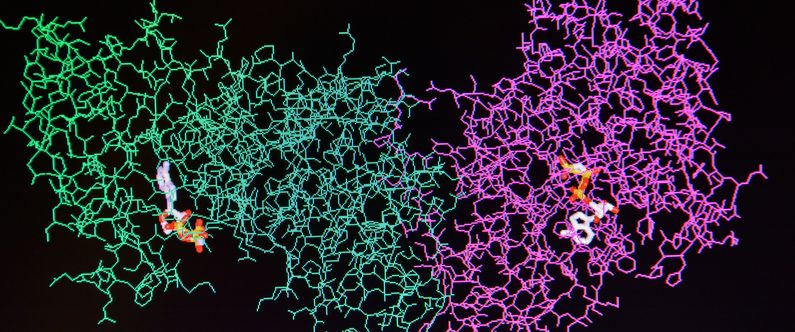 WCM-Q research reveals secrets of the cell