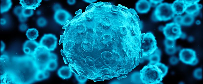 WCM-Q students’ research published in BMJ